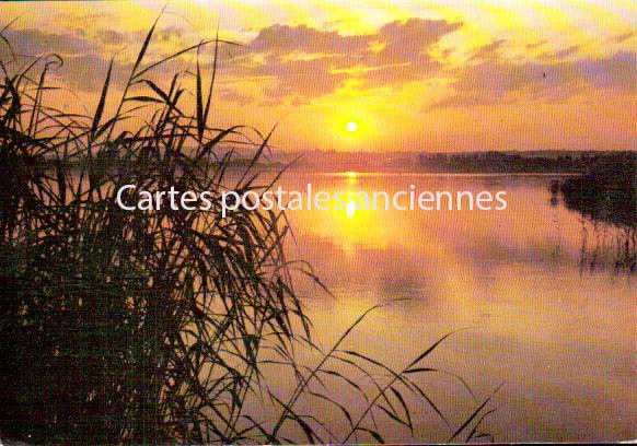 Cartes postales anciennes > CARTES POSTALES > carte postale ancienne > cartes-postales-ancienne.com Occitanie Palavas Les Flots