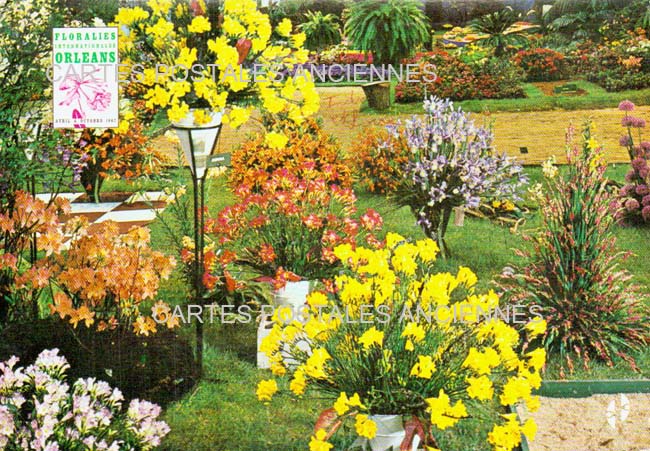 Cartes postales anciennes > CARTES POSTALES > carte postale ancienne > cartes-postales-ancienne.com Centre val de loire  Indre et loire Chinon