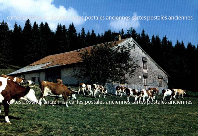 Cartes postales anciennes > CARTES POSTALES > carte postale ancienne > cartes-postales-ancienne.com Bourgogne franche comte Jura