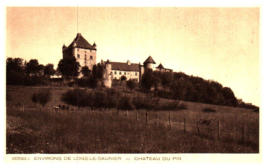 Cartes postales anciennes > CARTES POSTALES > carte postale ancienne > cartes-postales-ancienne.com Bourgogne franche comte Jura Le Pin