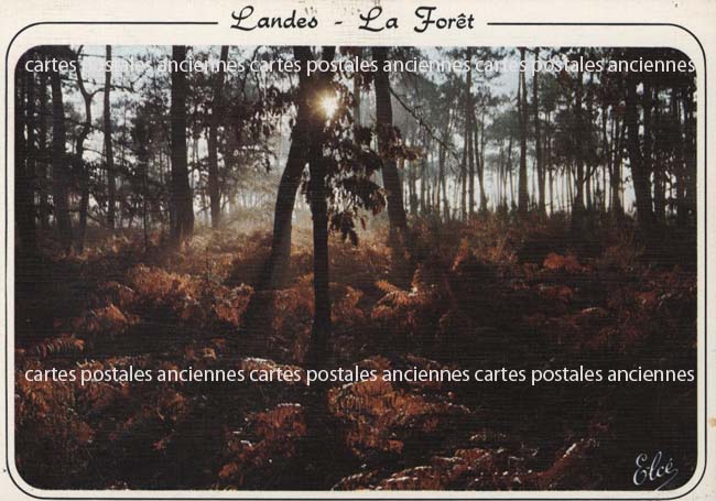 Cartes postales anciennes > CARTES POSTALES > carte postale ancienne > cartes-postales-ancienne.com Nouvelle aquitaine Landes