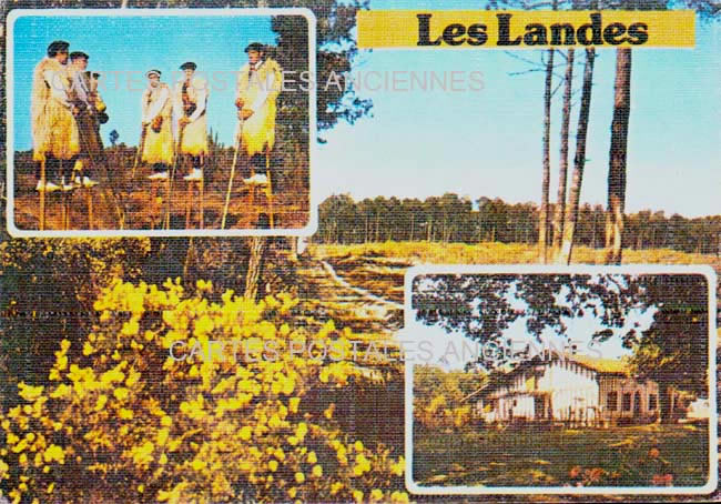 Cartes postales anciennes > CARTES POSTALES > carte postale ancienne > cartes-postales-ancienne.com Nouvelle aquitaine Landes Dax