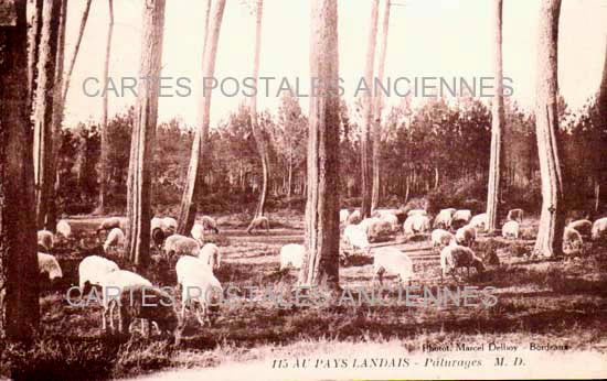 Cartes postales anciennes > CARTES POSTALES > carte postale ancienne > cartes-postales-ancienne.com Nouvelle aquitaine Dax