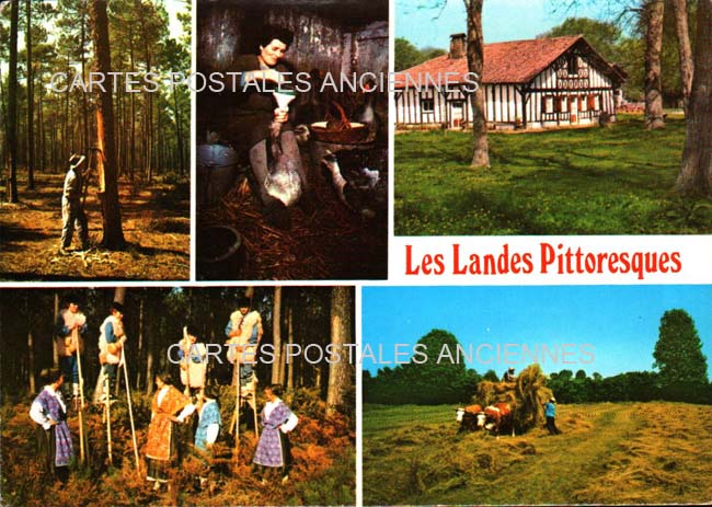 Cartes postales anciennes > CARTES POSTALES > carte postale ancienne > cartes-postales-ancienne.com Nouvelle aquitaine Landes Dax