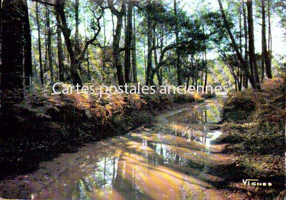 Cartes postales anciennes > CARTES POSTALES > carte postale ancienne > cartes-postales-ancienne.com  Hossegor