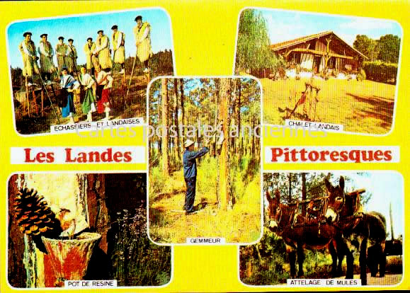 Cartes postales anciennes > CARTES POSTALES > carte postale ancienne > cartes-postales-ancienne.com  Saint Sever