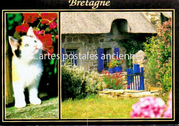 Cartes postales anciennes > CARTES POSTALES > carte postale ancienne > cartes-postales-ancienne.com  La Baule Escoublac