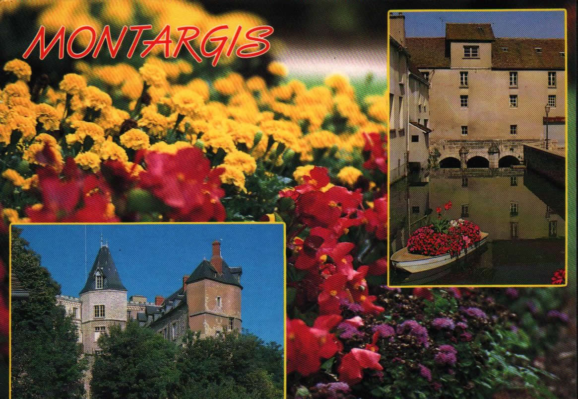 Cartes postales anciennes > CARTES POSTALES > carte postale ancienne > cartes-postales-ancienne.com Centre val de loire  Loiret Orleans