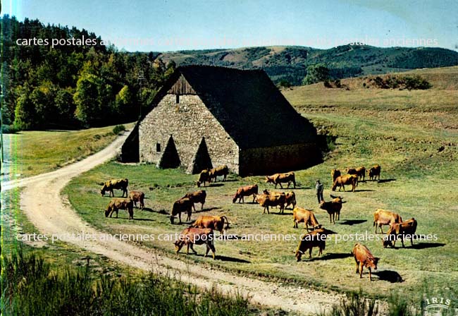 Cartes postales anciennes > CARTES POSTALES > carte postale ancienne > cartes-postales-ancienne.com Occitanie Lozere