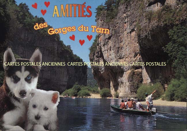 Cartes postales anciennes > CARTES POSTALES > carte postale ancienne > cartes-postales-ancienne.com Occitanie Lozere Sainte Enimie