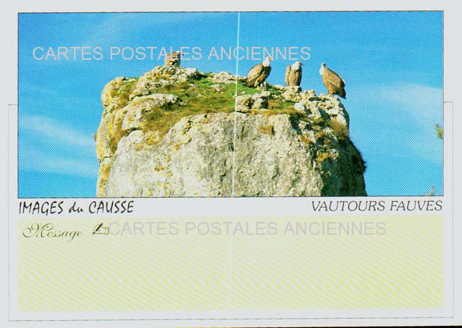 Cartes postales anciennes > CARTES POSTALES > carte postale ancienne > cartes-postales-ancienne.com Occitanie Lozere Sainte Enimie