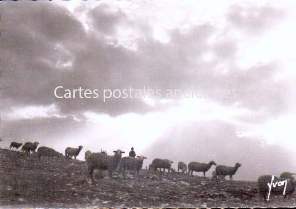 Cartes postales anciennes > CARTES POSTALES > carte postale ancienne > cartes-postales-ancienne.com Occitanie Sainte Enimie