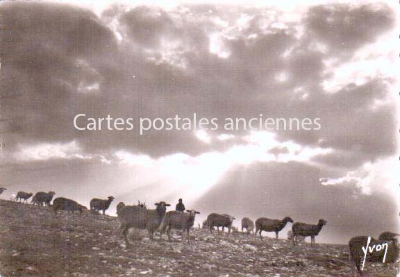 Cartes postales anciennes > CARTES POSTALES > carte postale ancienne > cartes-postales-ancienne.com Occitanie Sainte Enimie