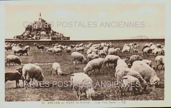 Cartes postales anciennes > CARTES POSTALES > carte postale ancienne > cartes-postales-ancienne.com Normandie Le Mont Saint Michel