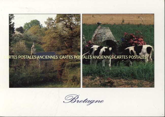 Cartes postales anciennes > CARTES POSTALES > carte postale ancienne > cartes-postales-ancienne.com Bretagne Quiberon