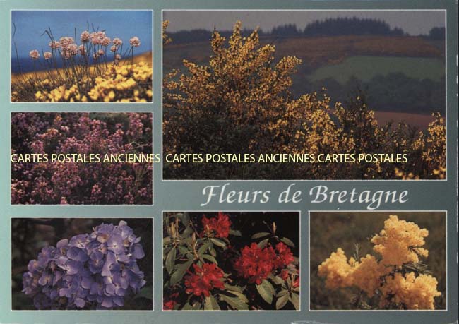 Cartes postales anciennes > CARTES POSTALES > carte postale ancienne > cartes-postales-ancienne.com Bretagne Morbihan