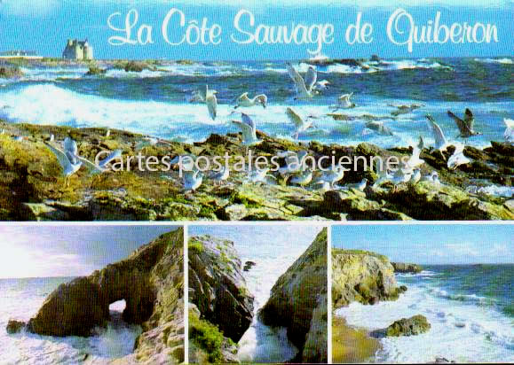 Cartes postales anciennes > CARTES POSTALES > carte postale ancienne > cartes-postales-ancienne.com Bretagne Quiberon