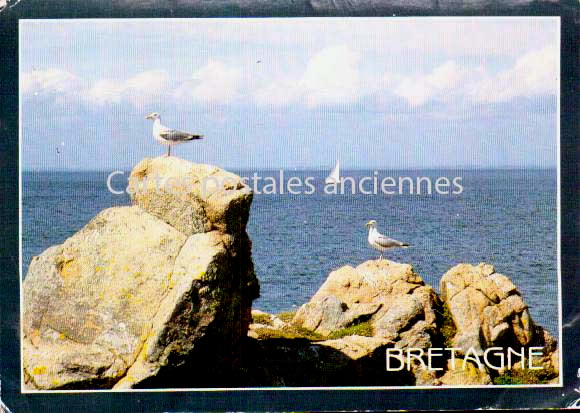 Cartes postales anciennes > CARTES POSTALES > carte postale ancienne > cartes-postales-ancienne.com Bretagne Quiberon