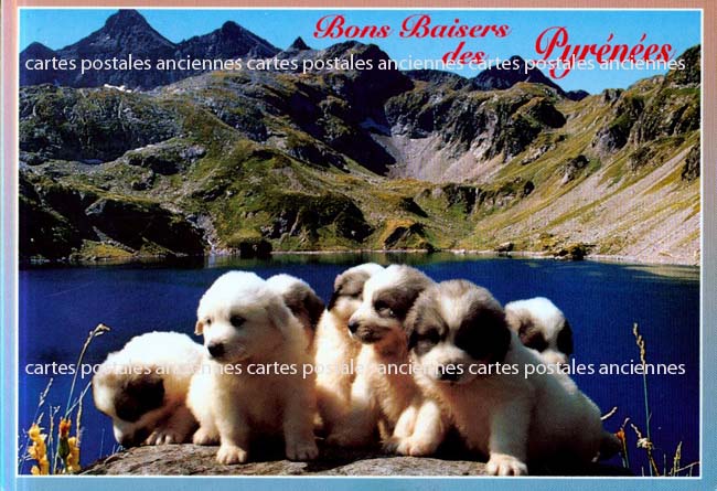 Cartes postales anciennes > CARTES POSTALES > carte postale ancienne > cartes-postales-ancienne.com Occitanie Hautes pyrenees