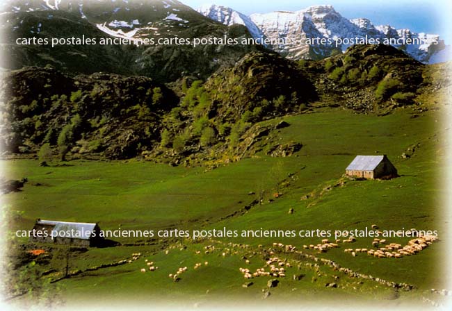 Cartes postales anciennes > CARTES POSTALES > carte postale ancienne > cartes-postales-ancienne.com Occitanie Hautes pyrenees