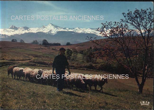 Cartes postales anciennes > CARTES POSTALES > carte postale ancienne > cartes-postales-ancienne.com Occitanie Hautes pyrenees Cauterets