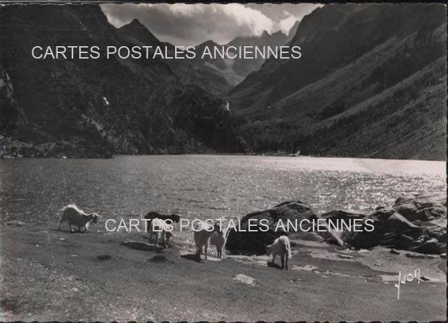 Cartes postales anciennes > CARTES POSTALES > carte postale ancienne > cartes-postales-ancienne.com Occitanie Hautes pyrenees Cauterets