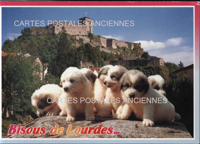 Cartes postales anciennes > CARTES POSTALES > carte postale ancienne > cartes-postales-ancienne.com Occitanie Hautes pyrenees Lourdes