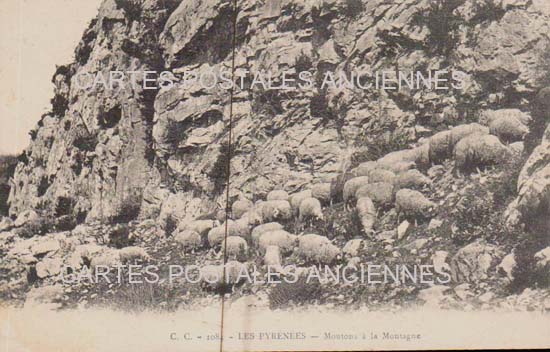 Cartes postales anciennes > CARTES POSTALES > carte postale ancienne > cartes-postales-ancienne.com Occitanie Hautes pyrenees Bagneres De Bigorre