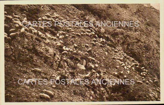 Cartes postales anciennes > CARTES POSTALES > carte postale ancienne > cartes-postales-ancienne.com Occitanie Hautes pyrenees Gavarnie