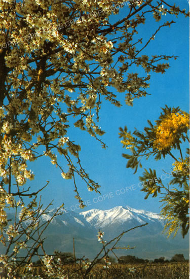 Cartes postales anciennes > CARTES POSTALES > carte postale ancienne > cartes-postales-ancienne.com Occitanie Pyrenees orientales