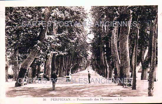 Cartes postales anciennes > CARTES POSTALES > carte postale ancienne > cartes-postales-ancienne.com Occitanie Pyrenees orientales Perpignan