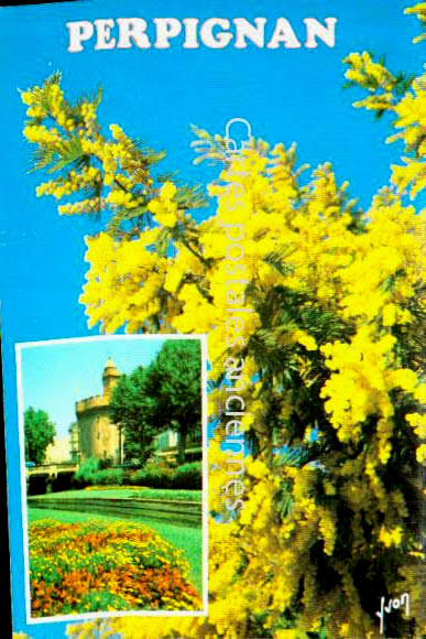 Cartes postales anciennes > CARTES POSTALES > carte postale ancienne > cartes-postales-ancienne.com Occitanie Perpignan