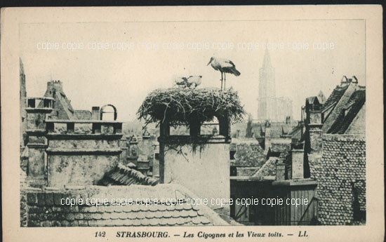 Cartes postales anciennes > CARTES POSTALES > carte postale ancienne > cartes-postales-ancienne.com Grand est Bas rhin Strasbourg