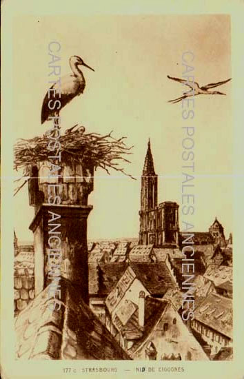 Cartes postales anciennes > CARTES POSTALES > carte postale ancienne > cartes-postales-ancienne.com Bas rhin 67 Strasbourg