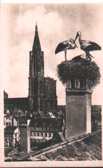 Cartes postales anciennes > CARTES POSTALES > carte postale ancienne > cartes-postales-ancienne.com Grand est Bas rhin Strasbourg