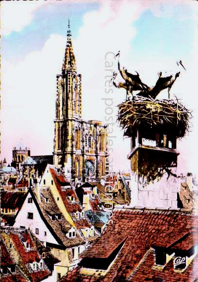 Cartes postales anciennes > CARTES POSTALES > carte postale ancienne > cartes-postales-ancienne.com Grand est Strasbourg