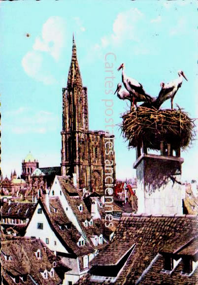 Cartes postales anciennes > CARTES POSTALES > carte postale ancienne > cartes-postales-ancienne.com Grand est Strasbourg