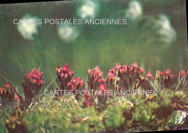 Cartes postales anciennes > CARTES POSTALES > carte postale ancienne > cartes-postales-ancienne.com Auvergne rhone alpes Savoie La Rochette