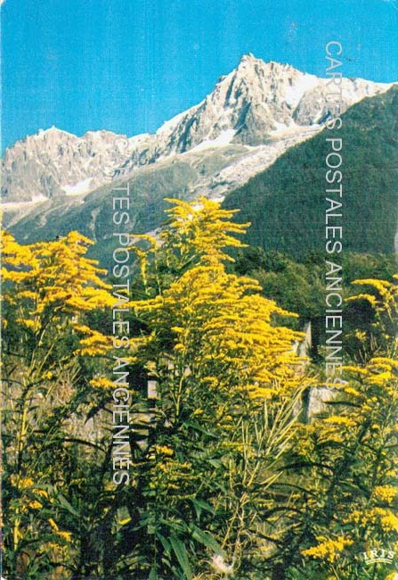 Cartes postales anciennes > CARTES POSTALES > carte postale ancienne > cartes-postales-ancienne.com Auvergne rhone alpes Haute savoie Chamonix Mont Blanc