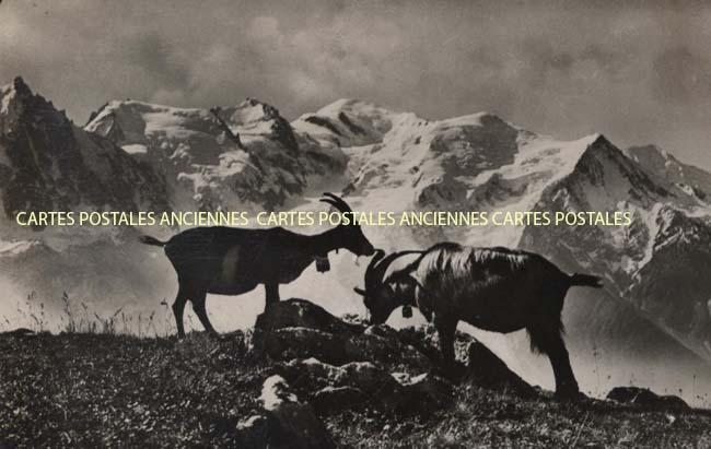 Cartes postales anciennes > CARTES POSTALES > carte postale ancienne > cartes-postales-ancienne.com Auvergne rhone alpes Haute savoie Chamonix Mont Blanc