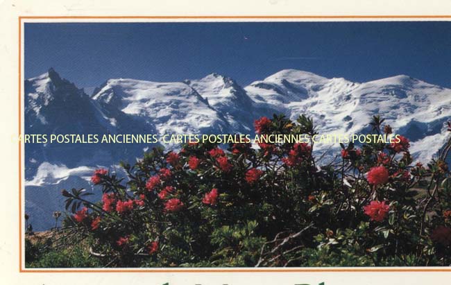 Cartes postales anciennes > CARTES POSTALES > carte postale ancienne > cartes-postales-ancienne.com Auvergne rhone alpes Haute savoie Saint Gervais Les Bains