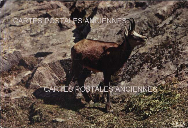 Cartes postales anciennes > CARTES POSTALES > carte postale ancienne > cartes-postales-ancienne.com Auvergne rhone alpes Haute savoie Chamonix Mont Blanc