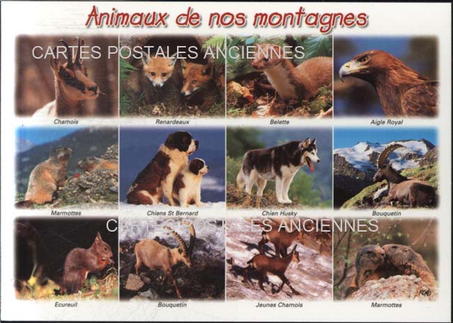 Cartes postales anciennes > CARTES POSTALES > carte postale ancienne > cartes-postales-ancienne.com Auvergne rhone alpes Haute savoie Chamonix Mont Blanc