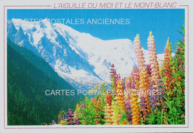 Cartes postales anciennes > CARTES POSTALES > carte postale ancienne > cartes-postales-ancienne.com Auvergne rhone alpes Haute savoie Chamonix Mont Blanc