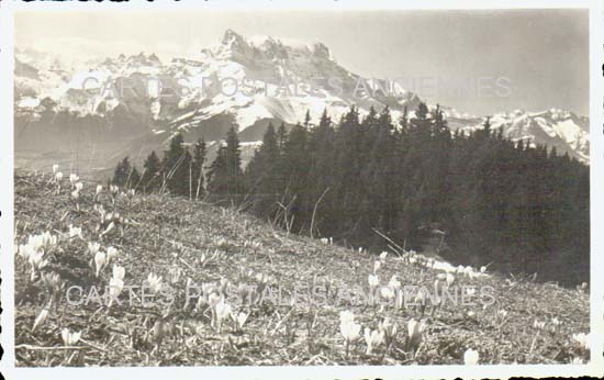 Cartes postales anciennes > CARTES POSTALES > carte postale ancienne > cartes-postales-ancienne.com Auvergne rhone alpes Haute savoie Chamonix Mont Blanc