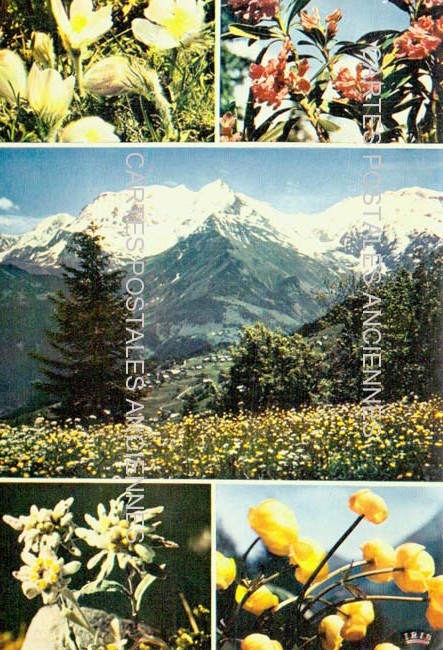 Cartes postales anciennes > CARTES POSTALES > carte postale ancienne > cartes-postales-ancienne.com Auvergne rhone alpes Haute savoie Chamonix Mont Blanc