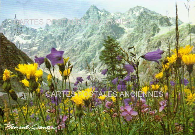 Cartes postales anciennes > CARTES POSTALES > carte postale ancienne > cartes-postales-ancienne.com Auvergne rhone alpes Chamonix Mont Blanc