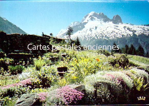 Cartes postales anciennes > CARTES POSTALES > carte postale ancienne > cartes-postales-ancienne.com Auvergne rhone alpes Haute savoie Chamonix Mont Blanc