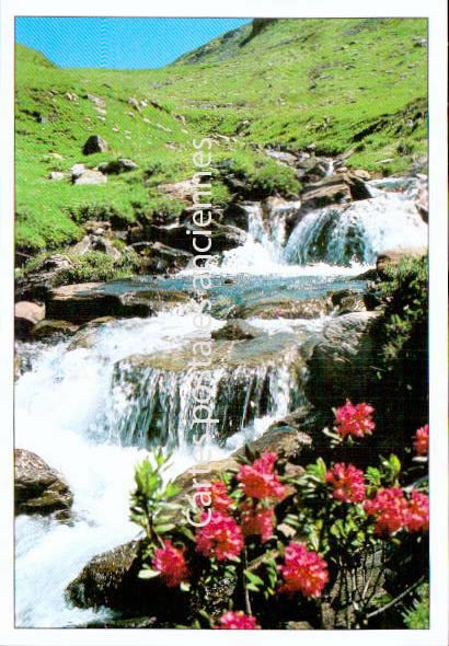 Cartes postales anciennes > CARTES POSTALES > carte postale ancienne > cartes-postales-ancienne.com Auvergne rhone alpes Haute savoie Chamonix Mont Blanc