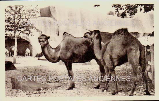 Cartes postales anciennes > CARTES POSTALES > carte postale ancienne > cartes-postales-ancienne.com Ile de france Paris Paris 12eme